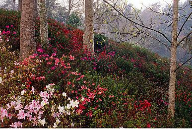 《星刃》Steam国区售价268元 PC配置需求公布